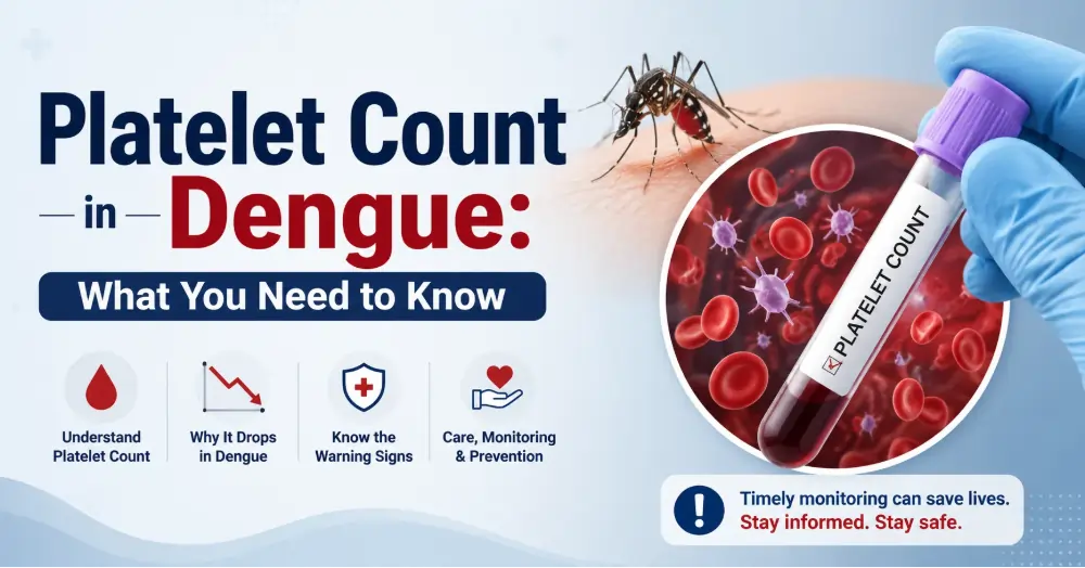 Platelet Count in Dengue: Symptoms, Risks & Recovery